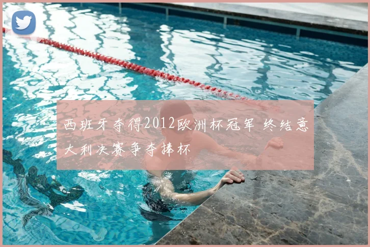 西班牙夺得2012欧洲杯冠军 终结意大利决赛争夺捧杯