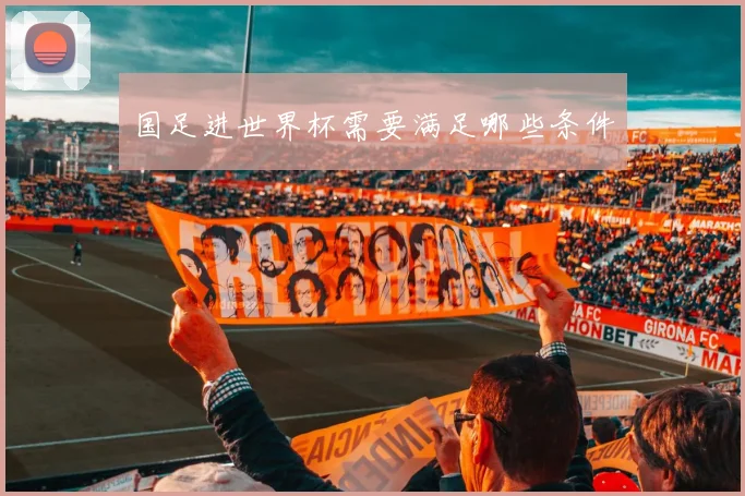 国足进世界杯需要满足哪些条件