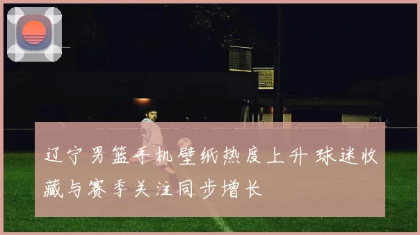 辽宁男篮手机壁纸热度上升 球迷收藏与赛季关注同步增长