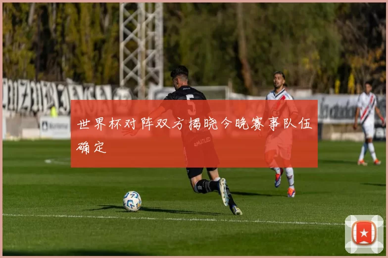 世界杯对阵双方揭晓今晚赛事队伍确定