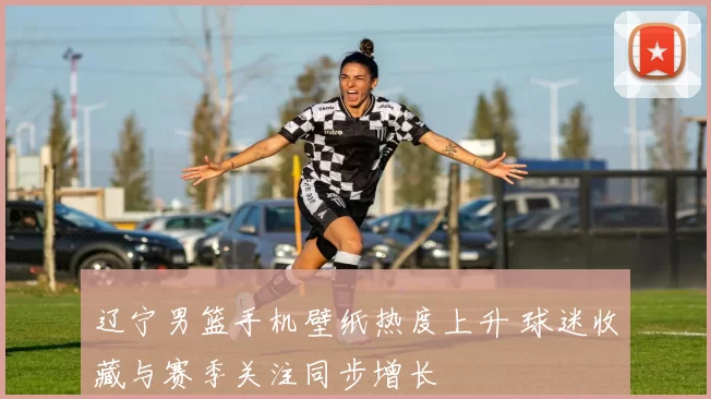 辽宁男篮手机壁纸热度上升 球迷收藏与赛季关注同步增长