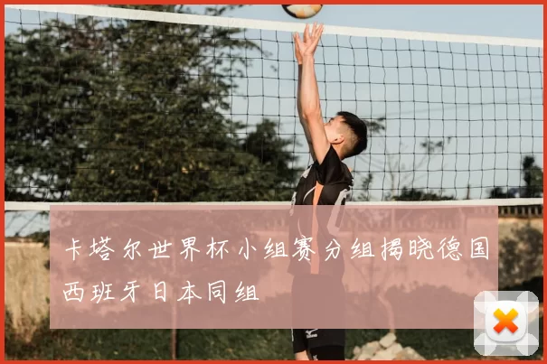 卡塔尔世界杯小组赛分组揭晓德国西班牙日本同组
